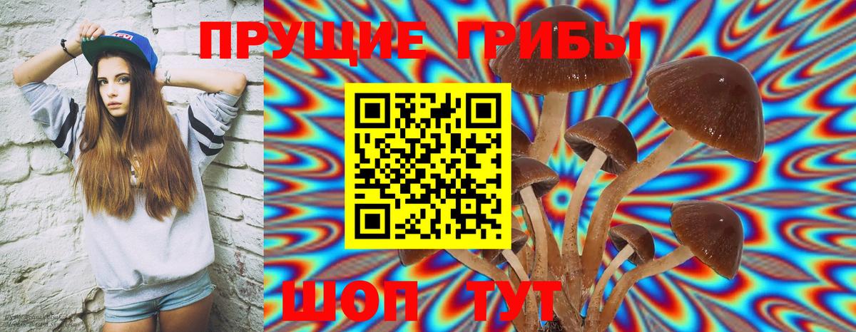 Ивантеевка  Псилоцибиновые грибы Psilocybine cubensis  Псилоцибиновые грибы Cubensis  купить закладку  Вход с VPN 